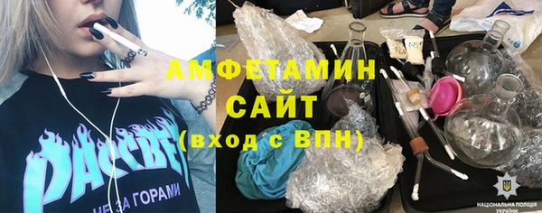 PSILOCYBIN Алзамай
