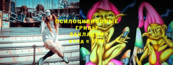 PSILOCYBIN Алзамай